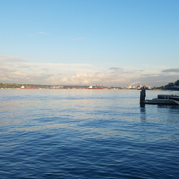 Meet Tammy Scarlett, your posher 🌟💖 - Picture 4 of 8