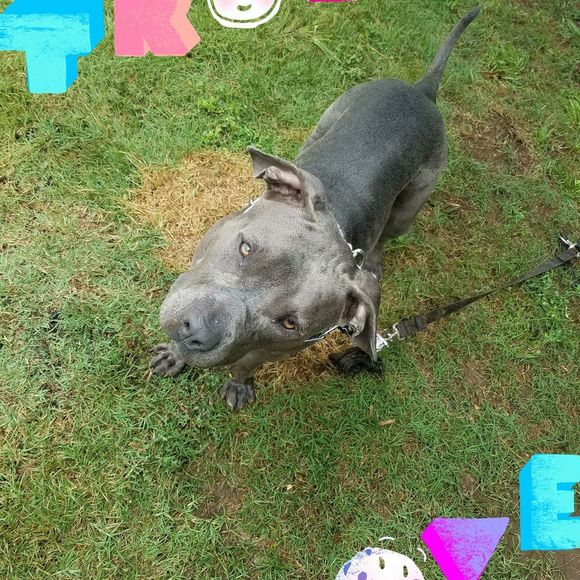 Meet your Posher, Marilyn - Picture 1 of 1