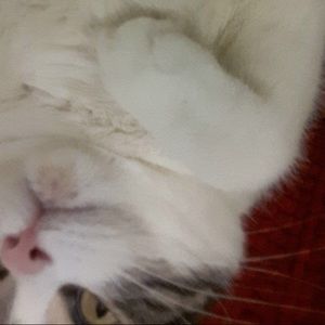 Meet your Posher, Key lee