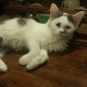 Meet your Posher, Teresa