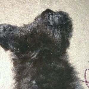 Meet your Posher, Jacob