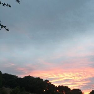 Meet your Posher, Logan