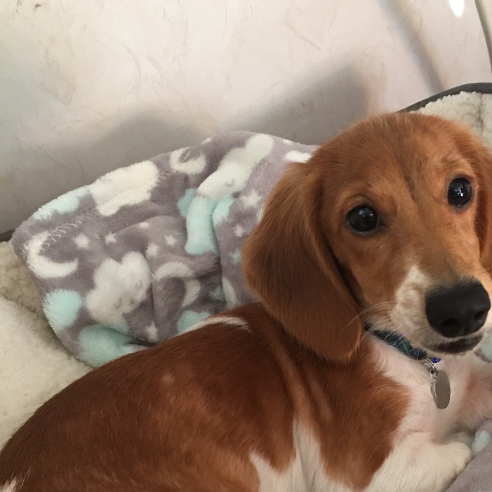 Meet your Posher, Tammy