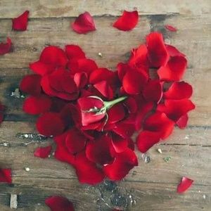 Meet your Posher, Jacira