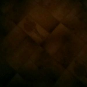 Meet your Posher, Bradley