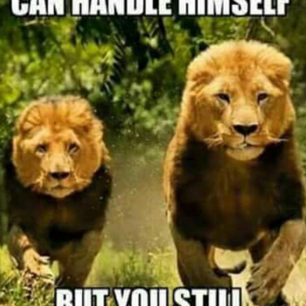 Meet your Posher, Bill