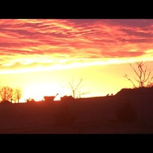 Meet your Posher, Pauly