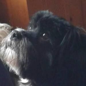 Meet your Posher, Vicky