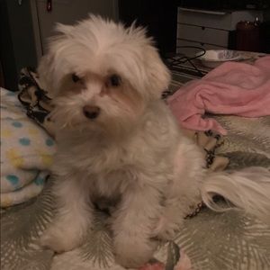 Meet your Posher, Lorraine