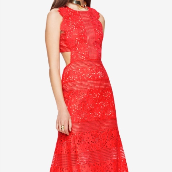 bcbg scalloped lace gown