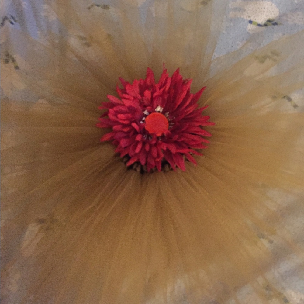 Gold Tutu