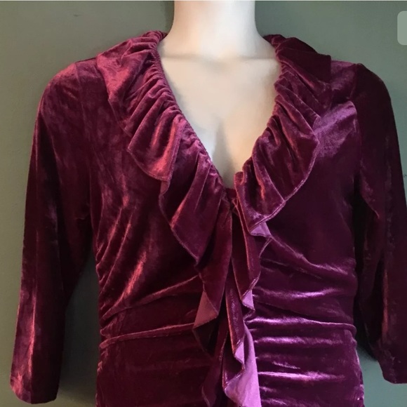 NEW WDNY Velvet Blouse - Picture 2 of 3