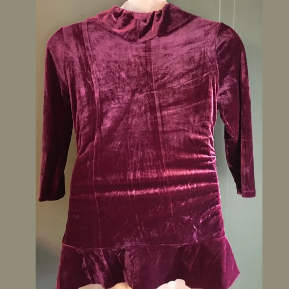 NEW WDNY Velvet Blouse - Picture 3 of 3