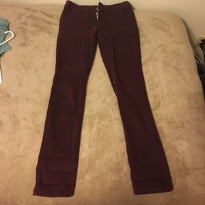 Maroon pants