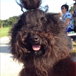 Meet your Posher, Storme