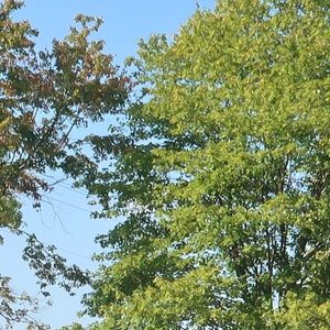 Meet your Posher, Ian