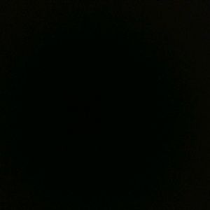 Meet your Posher, Terry