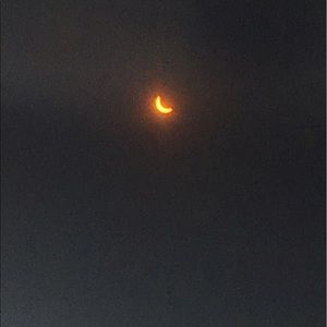 Meet your Posher, Natasha