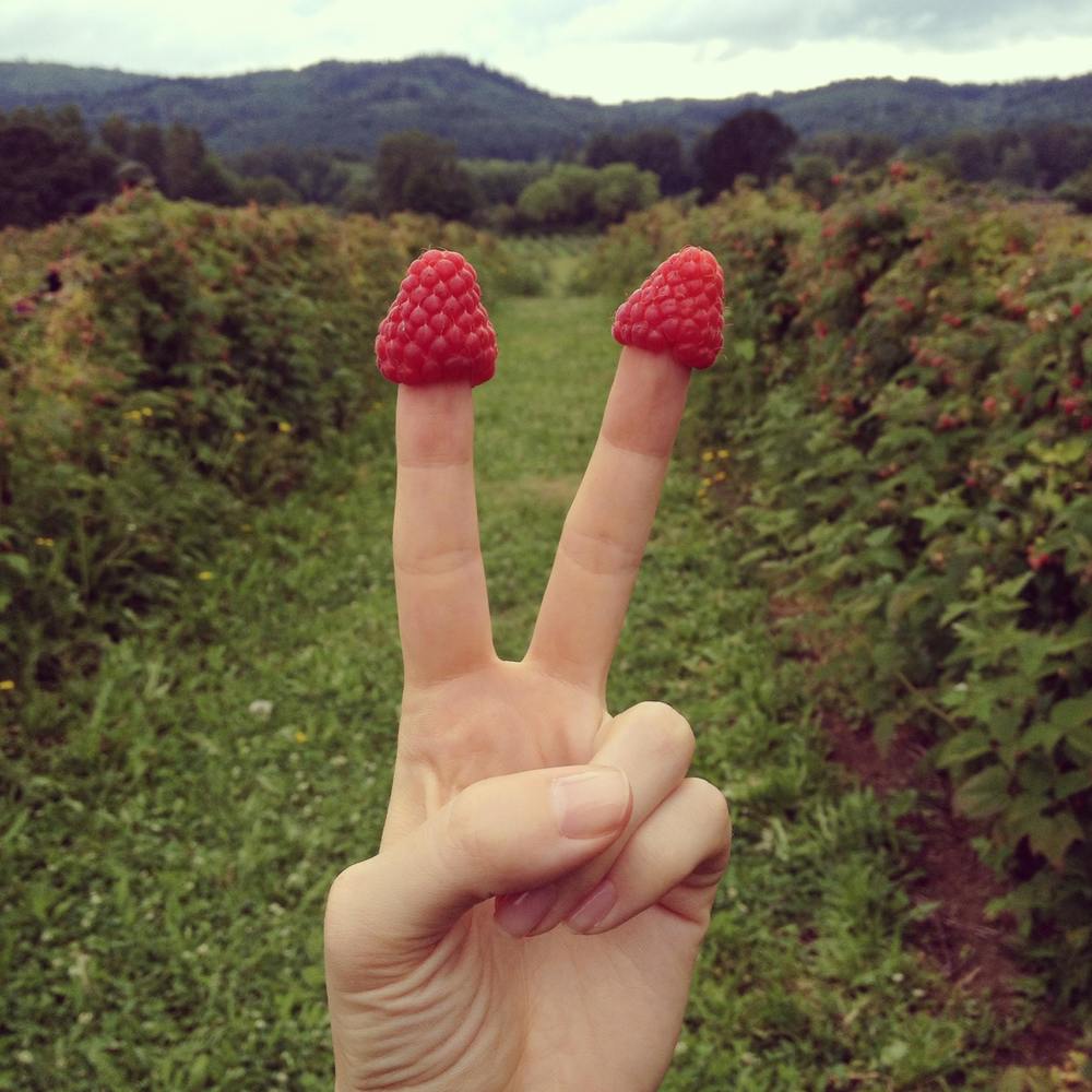 Meet your Posher, Amanda