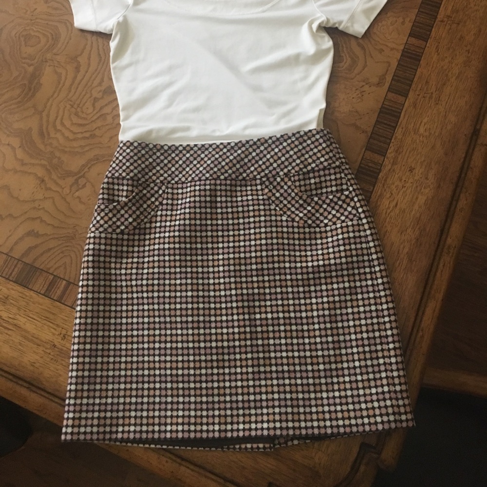 Ann Taylor Loft skirt