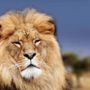 Meet your Posher, Gary