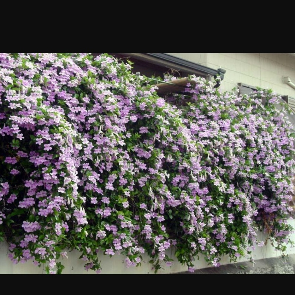 Meet your Posher, Hanna