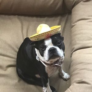 Meet your Posher, Kristin