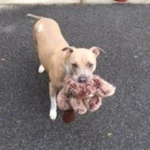 Meet your Posher, Linda