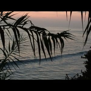 Meet your Posher, Gary