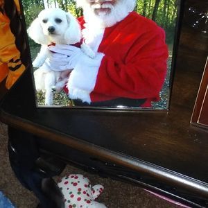 Meet your Posher, Peggy