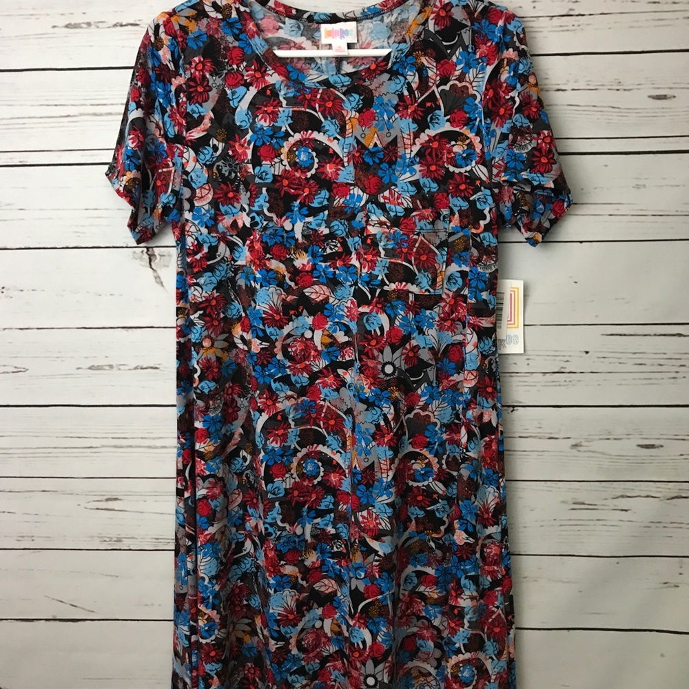 BNWT LuLaRoe Carly swing dress