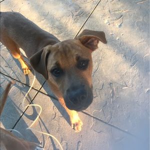 Meet your Posher, Rachel