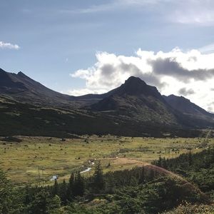 Meet your Posher, Elaine