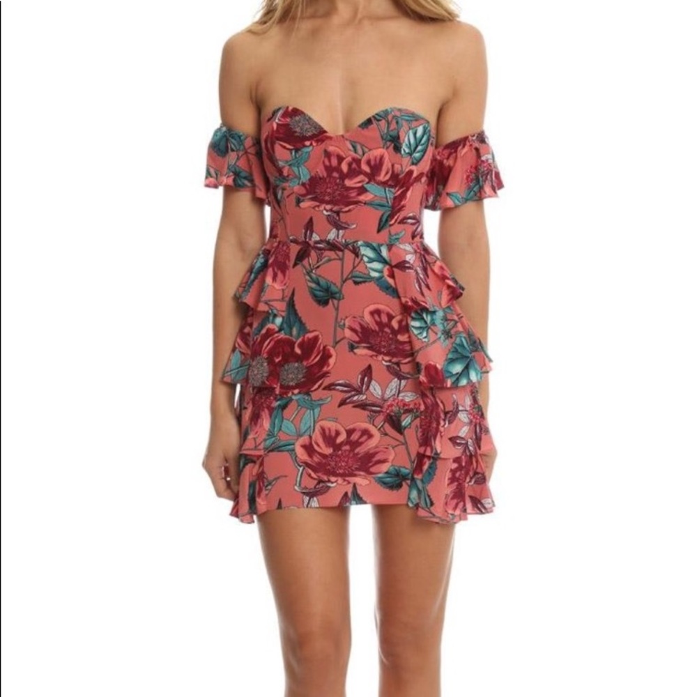 For Love & Lemons Dress