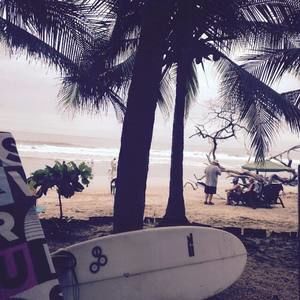 Meet your Posher, Severine