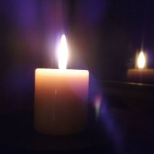 Meet your Posher, Holly