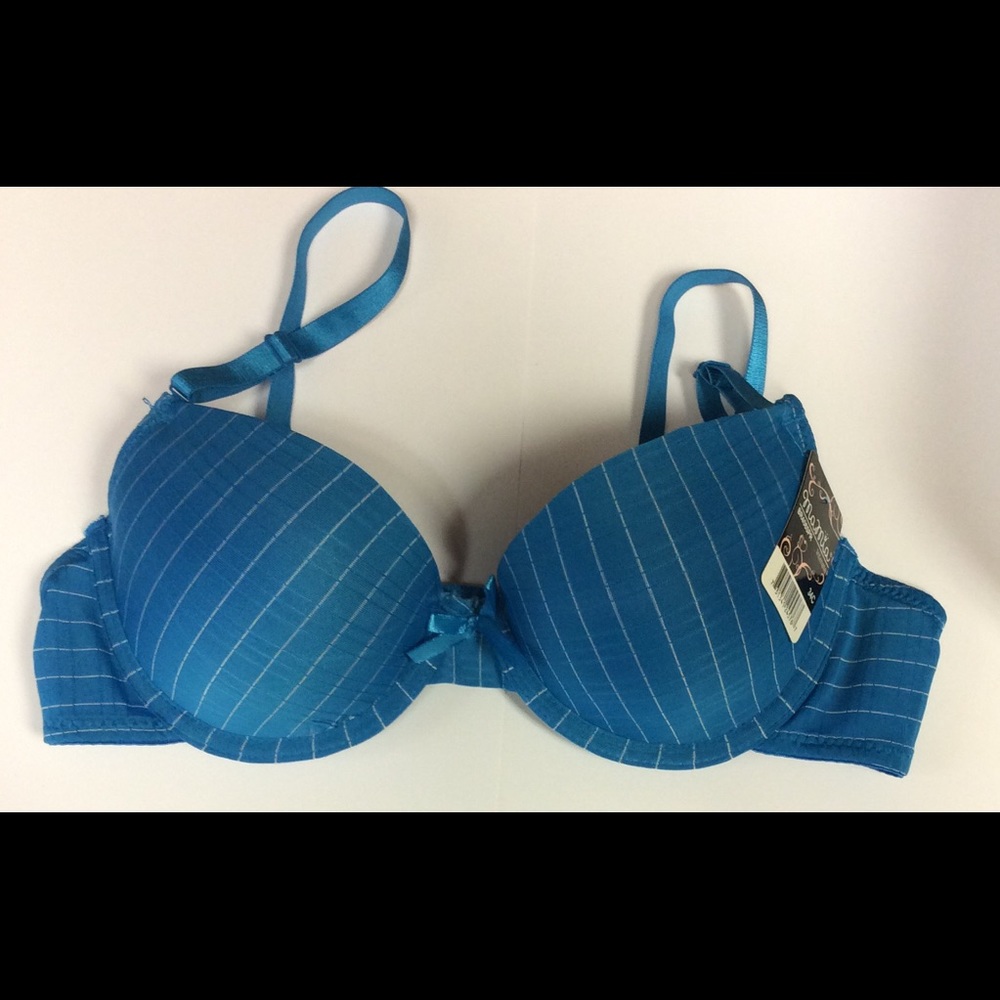 Pinstriped Underwire Bra NWT