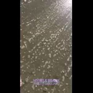 Meet your Posher, Ellen