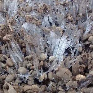 Meet your Posher, Becky daryck