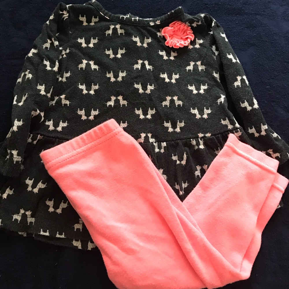 6-9 Month Black and Pink Zebra outfit