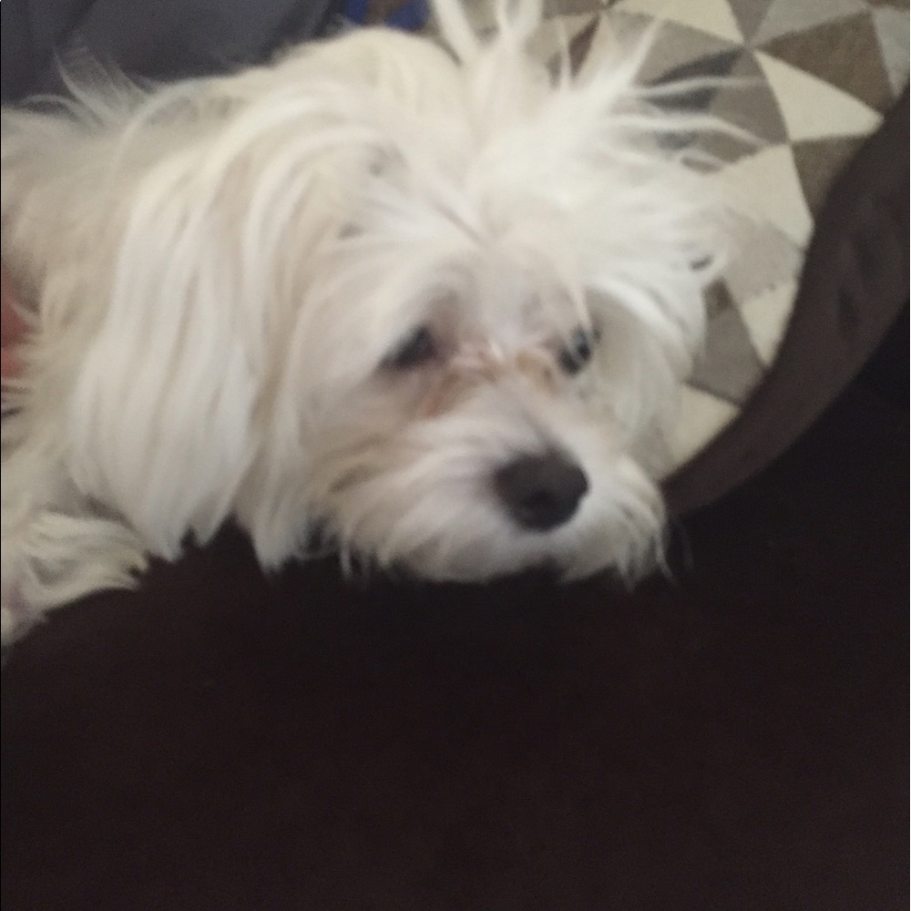 Meet your Posher, Viktoria