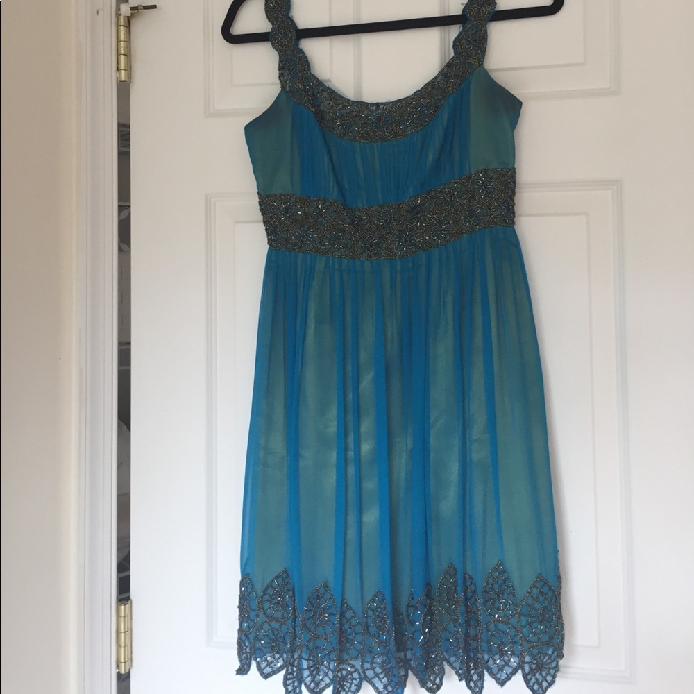 Gorgeous Adrianna Papell evening dress