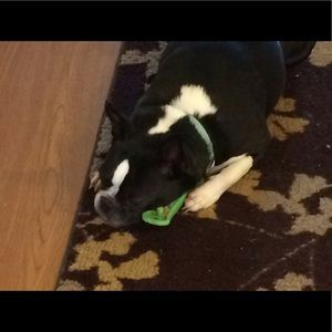 Meet your Posher, Elizabeth