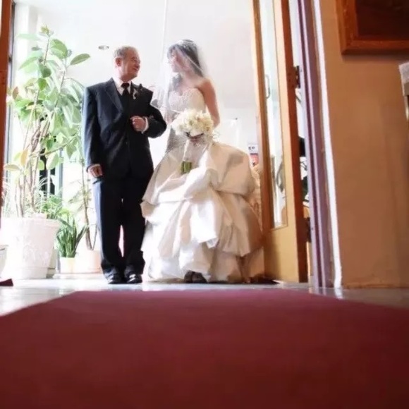 Pnina Tornai Sweetheart crystals Wedding Dress - Picture 3 of 8