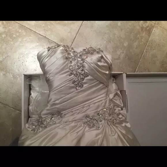 Pnina Tornai Sweetheart crystals Wedding Dress - Picture 4 of 8