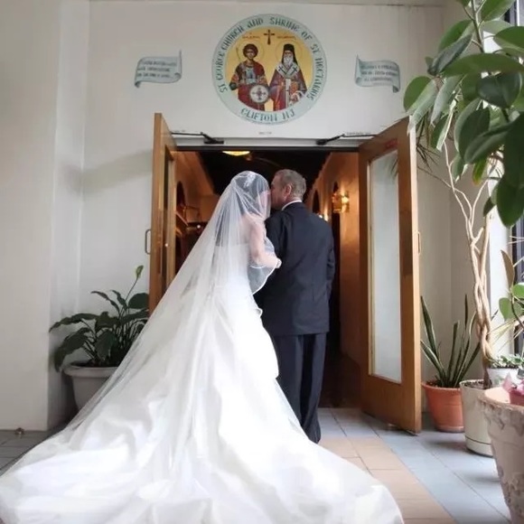 Pnina Tornai Sweetheart crystals Wedding Dress - Picture 6 of 8