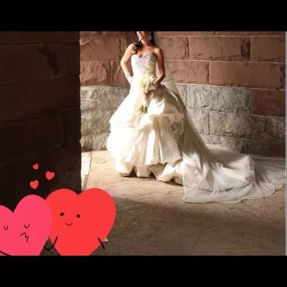 Pnina Tornai Sweetheart crystals Wedding Dress - Picture 8 of 8