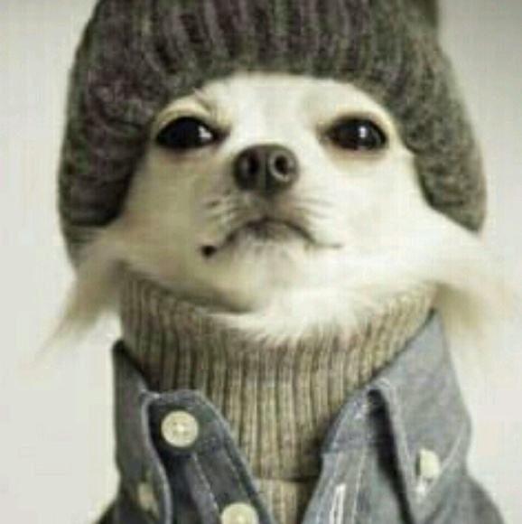 Meet your Posher, Ashley - Picture 1 of 1