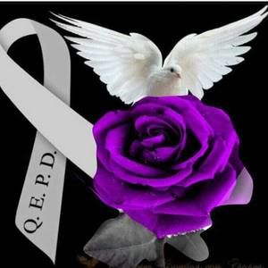 Meet your Posher, Casandra