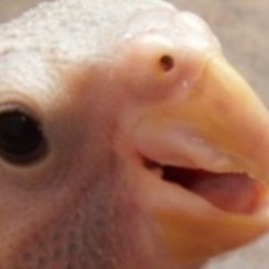 Meet your Posher, Jeremy